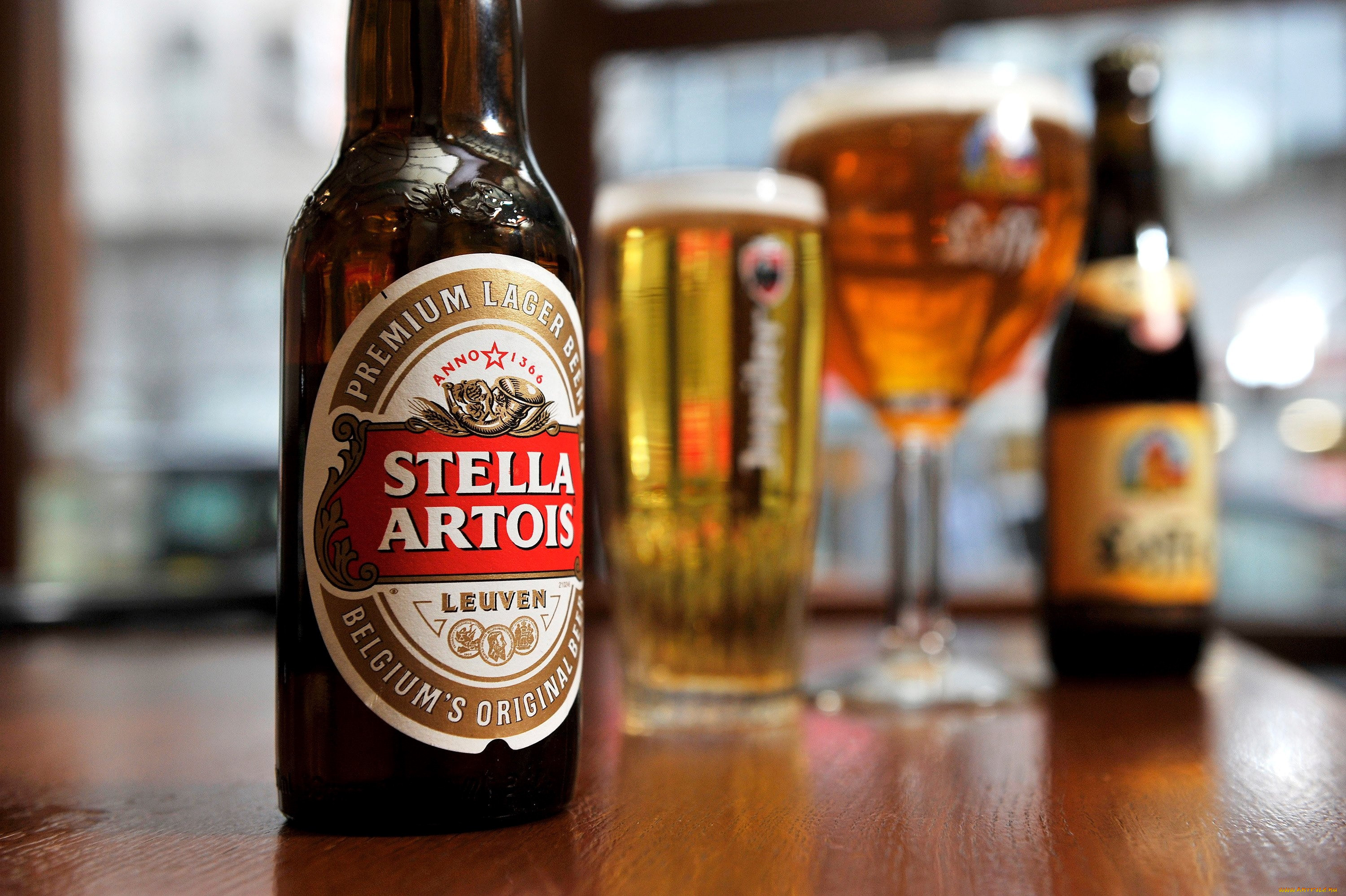 , stella artois, 